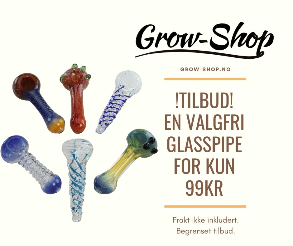 Diverse glasspiper på tilbud - KUN KR 69, - Smoke - ShopDiverse glasspiper på tilbud - KUN KR 69, - GlasspipeBambambholeSmoke - Shop09Nr. 1Diverse glasspiper på tilbud - KUN KR 99, - Begrenset tilbud - Grow - shop.no