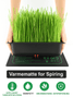 🌱 Varmematte for Planter, Frø og Drivhus – Perfekt for Spiring og Tidlig Vekst! Kun 399, - Smoke - Shop🌱 Varmematte for Planter, Frø og Drivhus – Perfekt for Spiring og Tidlig Vekst! Kun 399, - VarmematteSmoke - ShopSmoke - Shop🌱 Varmematte for Planter, Frø og Drivhus – Perfekt for Spiring og Tidlig Vekst! Kun 399, - 