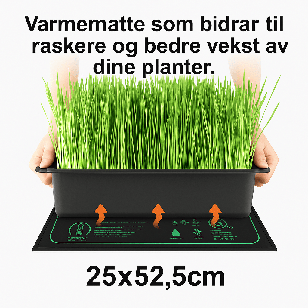🌱 Varmematte for Planter, Frø og Drivhus – Perfekt for Spiring og Tidlig Vekst! Kun 399, - Smoke - Shop🌱 Varmematte for Planter, Frø og Drivhus – Perfekt for Spiring og Tidlig Vekst! Kun 399, - VarmematteSmoke - ShopSmoke - Shop🌱 Varmematte for Planter, Frø og Drivhus – Perfekt for Spiring og Tidlig Vekst! Kun 399, - 